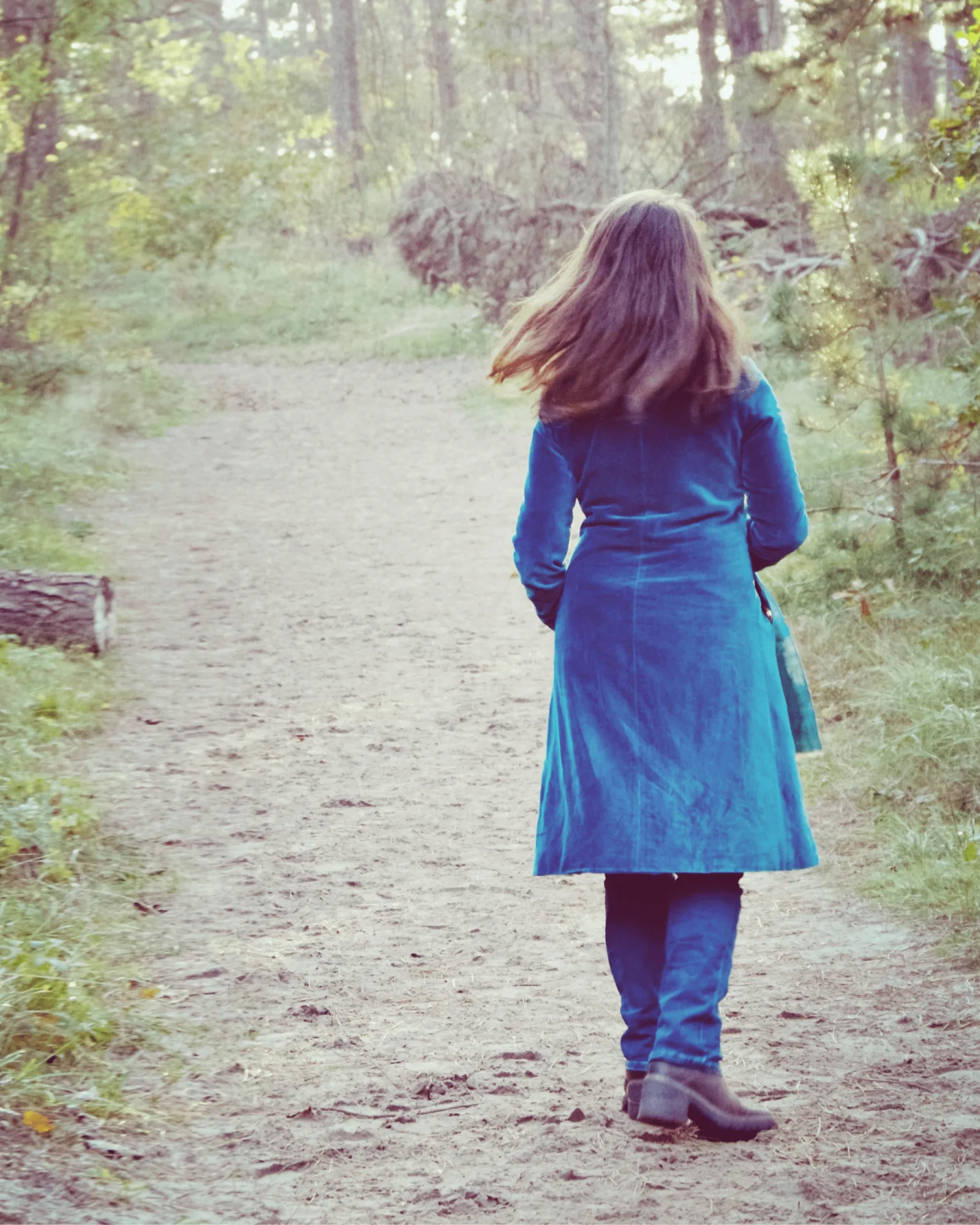 Essential Pause — monthly online workshop