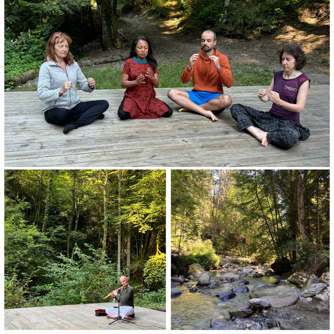 Groupe de participants en méditation en plein air – retraites et programmes collectifs